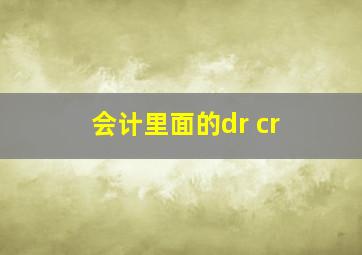 会计里面的dr cr